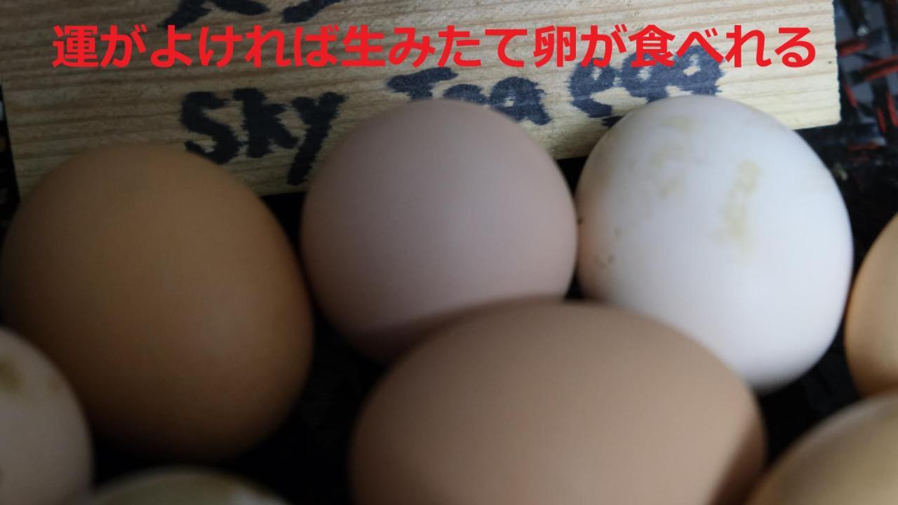 Отель Sky Tea House Yame Экстерьер фото